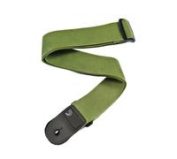 Daddario Polypro Guitar Strap with Leather Ends, Green