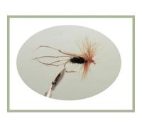 Daddy long legs Flies, 6 pack Peacock Daddy's, Choice of Sizes, Fishing Flies