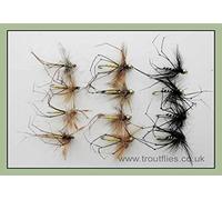 Daddy Long Legs Trout Flies, 12 Pack Black & Natural, Gold Head & Unweighted -10