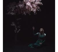 Daedric : As the Light Left CD (2025) NEW FREE Shipping, Save £s