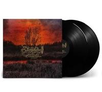 DÄMMERFARBEN - DES HERBSTES TRAUERHYMNEN MMXX (2LP) [VINYL]