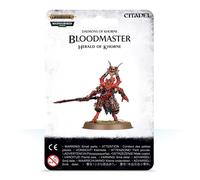 Games Workshop Bloodmaster Herald Of Khorne