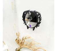 Daerky Jumping Spider Mirror, Small Animal Self-Observation Mirror, Jumping Spider Climbing Fence Accessories, Jumping Spider Training Decoration, Small Animal Habitat Decoration (Black, Oval)