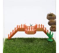 Daerky Jumping Spider Stairs, Magnetic Hidden Jumping Spider Habitat, Spider Jumping Climbing Platform for Small Reptile Enclosure Decorative Accessories (Pink Gold)