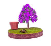 Daerky Jumping Spider wall Bracket,Featuring a magnetically Concealed Habitat for Jumping Spiders, a Handmade Climbing and Feeding Platform for Jumping Spiders，Enclosure Accessory for Small Spiders.