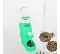 Daerky Small Animal Water Feeder, Magnetic Hanging Feeder & Hidden Cave - Accessories for Jumping Spiders, Wolf Spiders, Mantises, Arboreal Animals & Other Small Creatures - 5ML Capacity (Green)