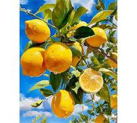 DAERLE Paint by Numbers for Adults, Lemon Mood, DIY Painting on Canvas Kit with Acrylic Paints and Brushes, The Flow of Life, Easy Craft for Beginners, Wall Art Home Decoration 16x20 inch