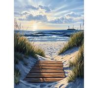 DAERLE Paint by Numbers for Adults, Wooden Path, Painting by Number Kits On Canvas, Oil Painting Acrylic Paints, Home Wall Decor 16x20inch/40x50cm, Without Frame, Beach Landscape