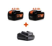 Daewoo U-Force 2 X 4.0Ah Battery (18V) + Charger Power Tool Accessories