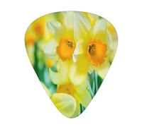 Daffodil Flower Printed,12 Pcs Guitar Pick,3 Different Thickness Plectrums for Acoustic Guitar Bass Ukulele (0.46mm 0.96mm 0.71mm)