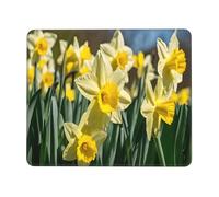 (Daffodil Flower) Printed Mousepad 7.9 x 9.5 in, Waterproof Non-Slip Mouse-Pad Rubber Base for Laptop Desktop Mat for Home Office Desk Decor