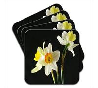 Daffodil Or Narcissus Flowers Set of 4 Coasters