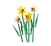 Daffodils