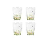 Daffodils Egg Cups Set - Spring Flowers & Butterflies - Pack of 4 Ceramic Egg Cups/Holders Kitchenware/Shot Glasses Drinkware Boxed Gift/Present