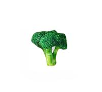 DAFORERAL Catnip Vegetable Cat Toys, Realistic Plush Corn Cabbage Eggplant Broccoli Cucumber Designs, Bite-Resistant Chew Toys for Self-Play and Stress Relief (broccoli)