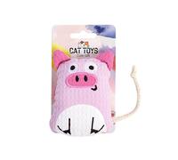 DAFORERAL Cute Animal Shape Catnip Chew Toy, Plush Interactive Kitten Toy for Indoor Play (Piggy)