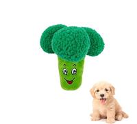 DAFORERAL Cute Vegetable Plush Dog Toy, Squeaky Chew Toy for Interactive Play and Energy Release (broccoli)