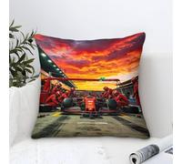 DAFUfbw Formulaa Racing Cushion Cover 3D Pattern, 45x45cm Pillow Cover Pit Stop Ornament Decor for Home Livingroom Couch Bed Sofa Decorate Throw Pillow Case Elephant Gift