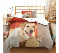 DAFUfbw Labrador Comfortable Quilt Cover Set Hidden Zipper Dogs Duvet Cover Set with Pillowcases Comforter Cover Soft Microfiber Bedding Set Various Sizes Single(135x200cm)