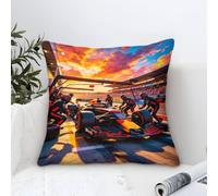 DAFUfbw Microfiber Formulaa Racing Cushion Covers 50x50cm, Soft Decorative Dusky Pink Throw Pillow Cases, Pit Stop Pillowcases with Invisible Zipper for Home Couch Sofa Bed