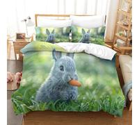 DAFUfbw Rabbits Breathable Quilt Cover Set Hidden Zipper Bunnies Duvet Cover Set with Pillowcases Bedding Set Soft Microfiber Comforter Cover for Various Sizes Beds King（220x240cm）