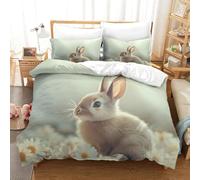 DAFUfbw Rabbits Colorful Quilt Cover Set Hidden Zipper Bunnies Duvet Cover Set with Pillowcases Bedding Set Soft Microfiber Comforter Cover Various Sizes for Kids Adults Double（200x200cm）