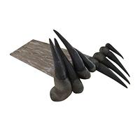 Dag Nasty - Can I Say [Vinyl LP] [VINYL]