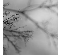 Dag Rosenqvist & Dakota Suite - What Matters Most