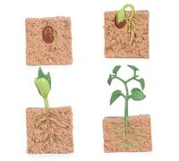 DAGLLGEW 4Pcs Life Cycle Toys for Kids, Simulated Plant Growth Process Model Seed Plant Growing Kit Educational Toy for Kids Teaching Tool
