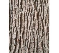 DAGLLGEW Artificial Tree Bark, Flexible Faux Tree Bark Wrap for Pipes, Columns, and Wall Decor, Realistic Trunk Texture for Crafts and DIY Projects, 118x8 inch Wallpaper for Crafts