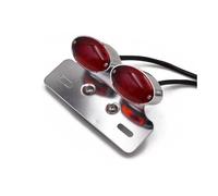 DAGMARA Motorcycle Brake TailLight Rear Brake Light Accessories Universal Modified Motorcycle With Steering LED Tail Light License Plate Holder Motorcycle