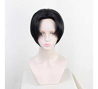 Dagua Anime Cosplay Wig,Demon Slayer Murata Wig,Black short Wig,with Free Wig Cap,for Christmas Carnival party Halloween Cosplay Wig