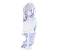 Dagua Anime Cosplay Wig，Fate Grand Order Merlin Wig，Silver Gradient Long Wavy Wig，with Free Wig Cap，for Christmas Carnival party Halloween Cosplay Wig