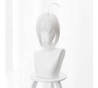 Dagua Anime Cosplay Wig，Lord El-Melloi II's Case Files Gray Wig，Silver White Wig，with Free Wig Cap，for Christmas Carnival party Halloween Cosplay Wig