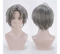 Dagua Anime Cosplay Wig，Sarazanmai Mabu Akutsu Wig，Grey Short Wig，with Free Wig Cap，for Christmas Carnival party Halloween Cosplay Wig