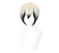 Dagua Cosplay Wig,Jujutsu Kaisen Zenin Naoya Cosplay Wig,Short Beige mix Black Wig,with Free Wig Cap,Halloween Costume Cosplay,for Christmas Carnival party