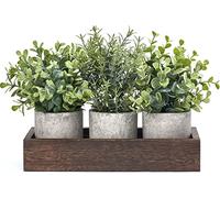 Dahey 3 Pack Mini Potted Artificial Eucalyptus Fake Plants with Wood Tray Centerpiece Table Decorations, Farmhouse Pulp Flower Pots Greenery Home Decor for Coffee Table Dining Room Office Kitchen