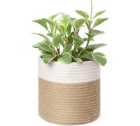 Dahey Small Cotton Rope Plant Basket Woven Plant Coiled Basket for Up to 7" Planter, Decorative Flower Pot Cover Closet Storage Bin Table Desk Organizer for Home Decor, White and Beige