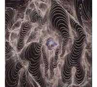 DAHGA BLOOM - No Curtains [VINYL]