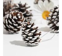 DAHI 30pcs Christmas Natural Pine Cones Snow Pinecones Decorations 4 to 5 cm Christmas Pinecones for Crafts as Christmas Decoration (White(Middle))
