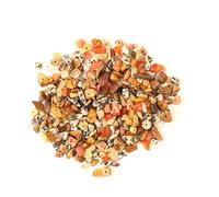 DAHI 480pcs Natural Chip Stone Beads Gemstone Bead Chips for Threading Assorted Crystals Chips Stone Beads for Bracelets Jewelry Natural Irregular Drilled DIY Gemstones (Multicolor-A)