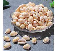 DAHI 70pcs Cowrie Shell Beads Oval Spiral Shells Beads Natural Spiral Cowrie Shell Charms Necklace Sea Shells Bead for Decoration or for Jewellery Making (70pcs)