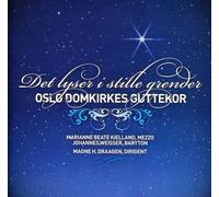 Dahl, Anders Eidsten - Lichter Funkeln in Friedlichen Dörfern