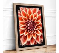 Dahlia Mandala Botanical Framed Wall Art Print A3 Oak