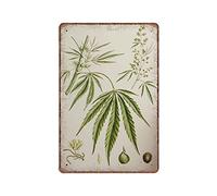 DAIERCY Cannabis Sativa - Vintage Botanical Herbal Educational Botany Chart Diagram Tin Signs - Old Hemp Hash Decor - Funny Metal Sign Wall Art Pub Kitchen Garden Bathroom Home Decor, 140x200 mm