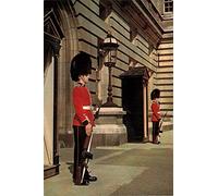 DAIERCY Creative Tin Sign London Queen's Guard Sentries of The Irish Guard Metal Sign Retro Wall Decor for Home Cafes Office Store Pubs Club Sign Gift Plaque Tin Sign, 12x8 Inch