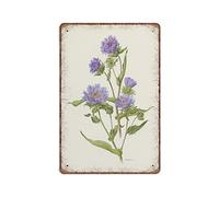 DAIERCY Creative Tin Signs Small Stokes Aster Botanical from 1970 Blue Stokesia Flower Funny Metal Sign Retro Wall Decor for Home Garden Bars Office Pubs Club Gift Plaque Tin Sign 140X200 mm