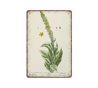 DAIERCY Mullein from A Curious Herbal - Herbal Tin Signs Verbascum, Botanical Funny Vintage Metal Sign Plaqu Poster Wall Art Pub Bar Kitchen Garden Bathroom Home Decor, 140x200 mm