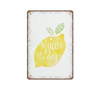 DAIERCY Squeeze The Day Tin Signs Funny Vintage Metal Sign Plaqu Poster Wall Art Pub Bar Kitchen Garden Bathroom Home Decor, 140x200 mm