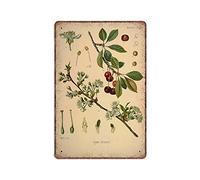 DAIERCY Vintage Cherries Tin Signs, Cherry Tree Botanical Print, Cherry Fruit Plant Funny Metal Sign Plaqu Poster Wall Art Pub Bar Kitchen Garden Bathroom Home Decor, 140x200 mm